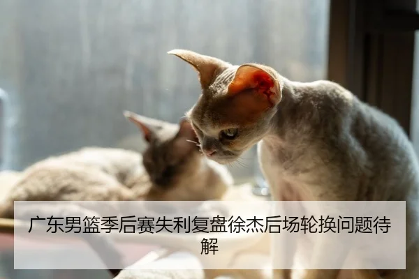 广东男篮季后赛失利复盘徐杰后场轮换问题待解